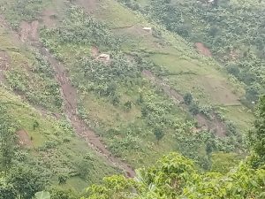 IMG_20240503_173359_564